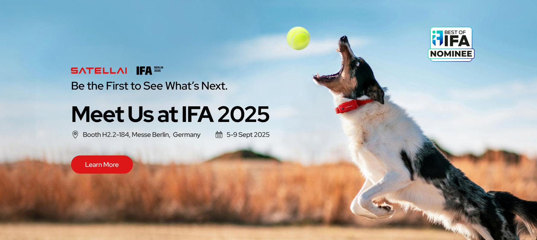 AI GPS dog collar demo at IFA 2025 with dog jumping for tennis ball