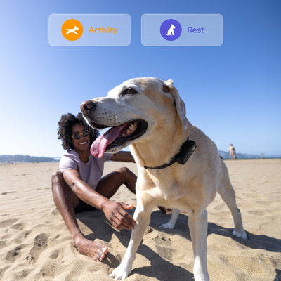 Activity and Health Monitor with Confidence