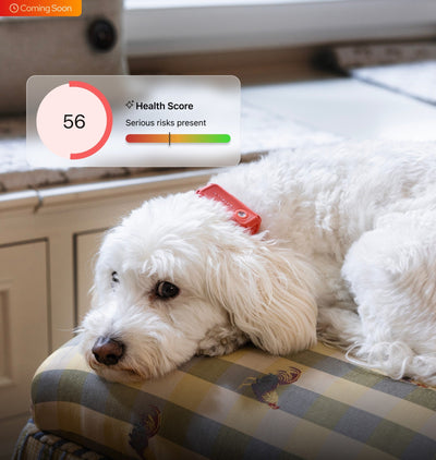 AI Health Alerts