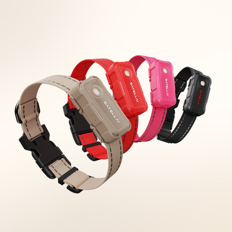 Stylish Colors